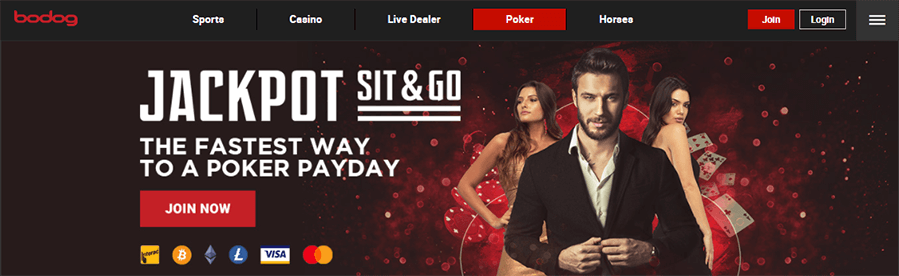 Live casino poker at bodog canada