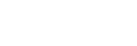 Need for Spin logo